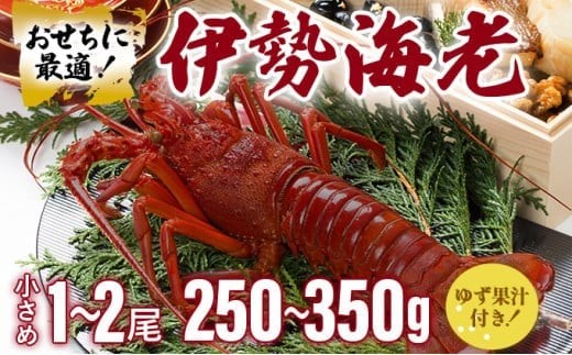 伊勢海老おせちサイズ 1~2尾セット【冷凍】 ｜国産 東洋町産 天然 新鮮 海鮮 ゆず果汁付き 刺身 焼き ボイル 生 四国 お取り寄せ お祝い 記念日 贈り物 お正月 送料無料 生 S184