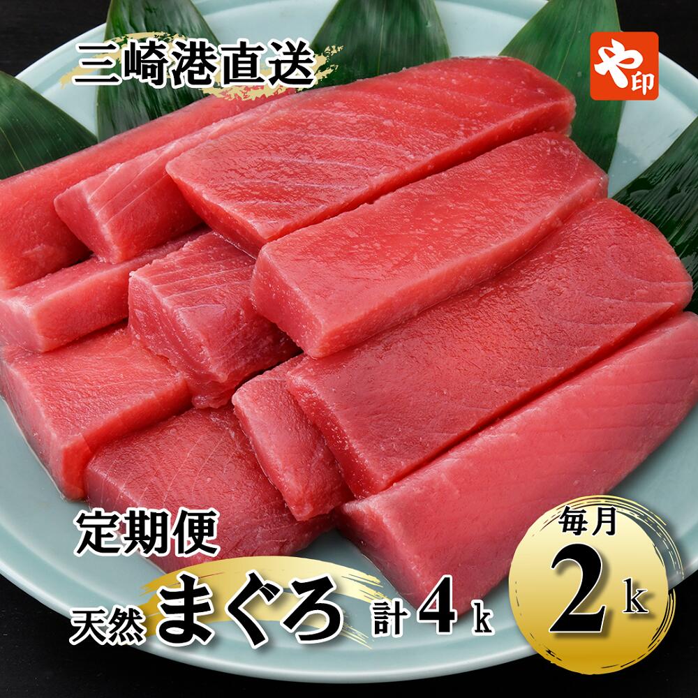 【ふるさと納税】 【2kgを2回お届け】(徳用)老舗三崎まぐろ問屋から直送!新鮮天然マグロ赤身2kg 定期便2回