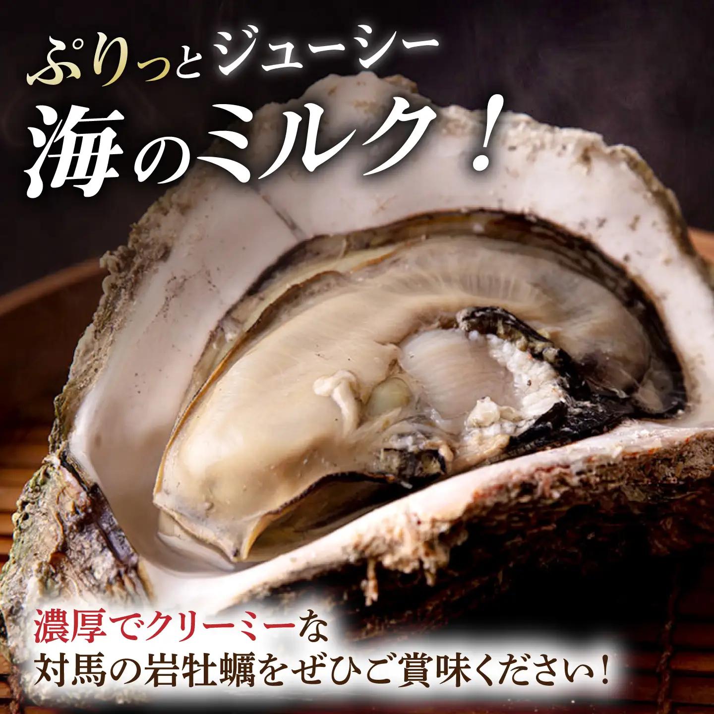 天然 岩ガキ 3kg  [WAD001] 岩がき 牡蠣 海鮮 魚介 牡蠣 かき カキ