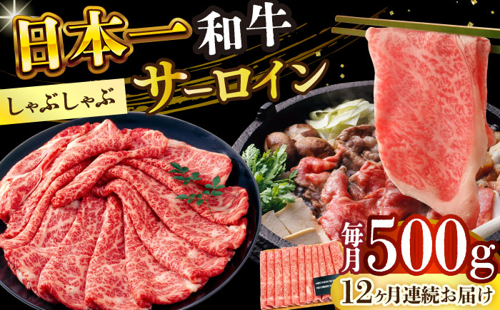 
            【全12回定期便】【厳選部位】【A4～A5】長崎和牛サーロインしゃぶしゃぶすき焼き用　500g【株式会社 MEAT PLUS】 [DBS100]長崎和牛 和牛 国産 牛肉  サーロイン しゃぶしゃぶ すき焼き 500g12回定期便 定期便 12回
          