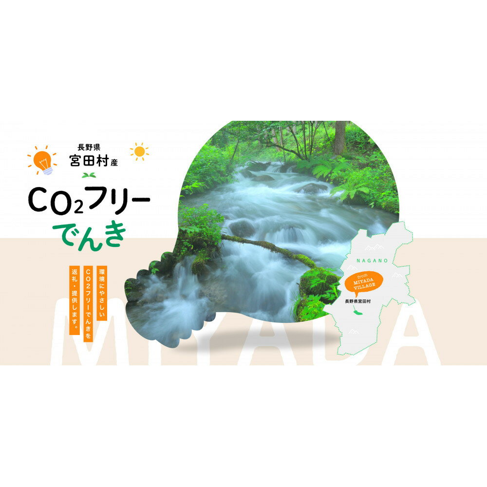 【ふるさと納税】宮田村産CO2フリーでんき 30,000 円コース（注：お申込み前に申込条件を必ずご確認ください） | 電力 返礼品 人気 おすすめ