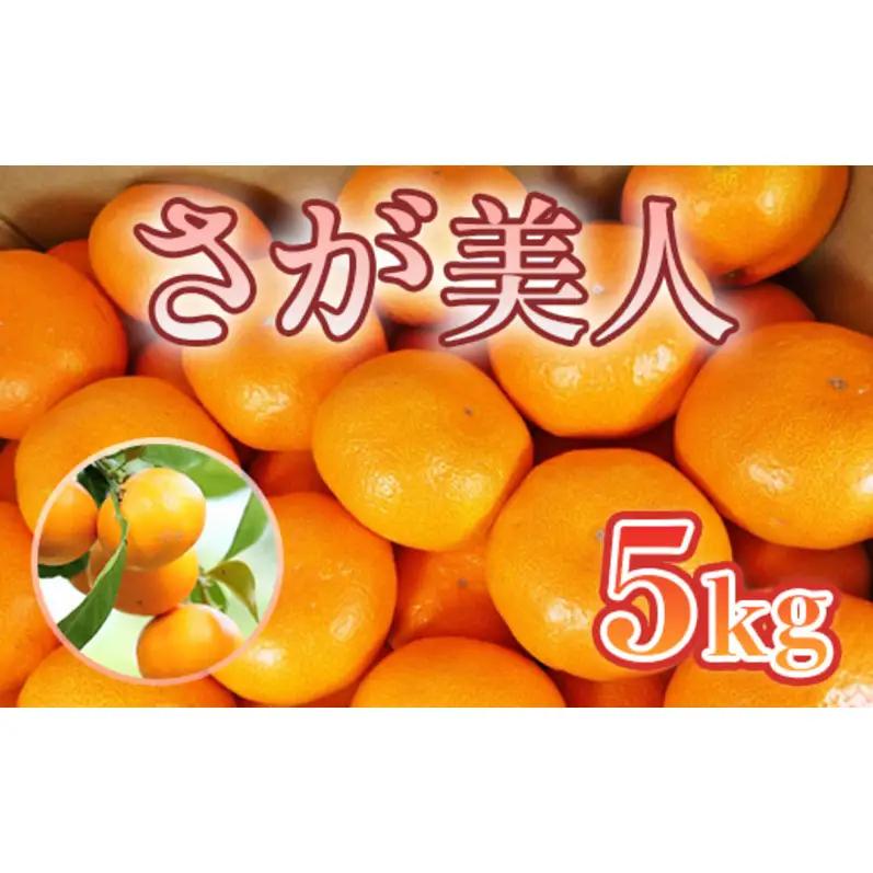みかん さが美人 みかん【5kg】