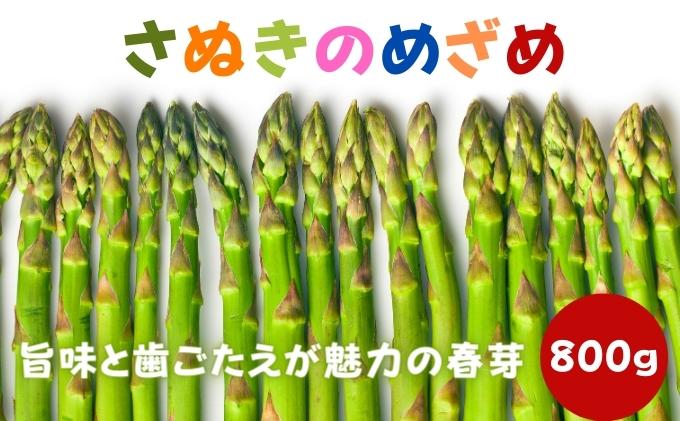 【早出し】さぬきのめざめ春芽（アスパラガス）約800g【1月下旬発送開始】