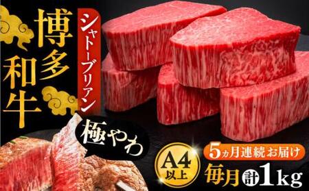 【全5回定期便】博多和牛 ヒレ シャトーブリアン 200g × 5枚《豊前市》【久田精肉店】 [VBK031]