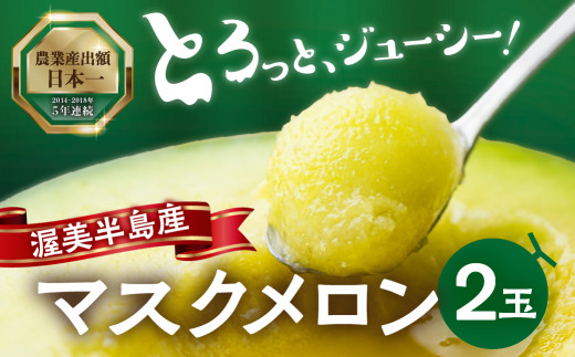 8月中お届け 先行予約 渥美半島産 マルカ農園のマスクメロン 2玉 (1玉1.5kg以上) めろん 箱詰め フルーツ 果物 田原市 産地直送 夏