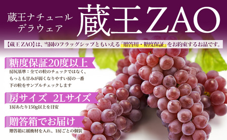 【蔵王 ZAO】蔵王ナチュールデラウェア 山形のデラウエア TAKUMI ORCHARD 99% 贈答 2L以上 糖度保証 約3kg 山形 山形県 山形市 フルーツ 果物 くだもの 送料無料 ぶどう 