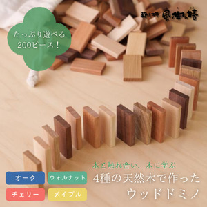 ウッドドミノ 200ピース ドミノ おもちゃ 手作り工房 風樹の塔 F-57