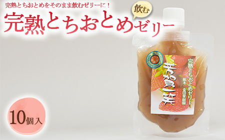 完熟とちおとめ飲むゼリー 1箱10個入【芳賀一笑】| 苺 いちご ゼリー なし フルーツ 果物 ギフト 贈答◇