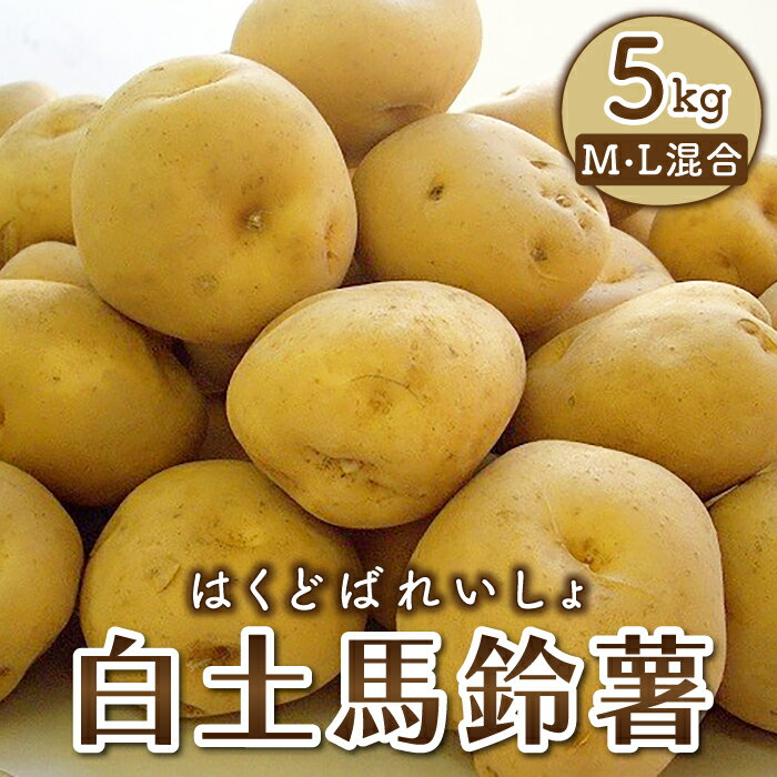 【ふるさと納税】東御市産白土馬鈴薯約5kg【8～12月お届け】