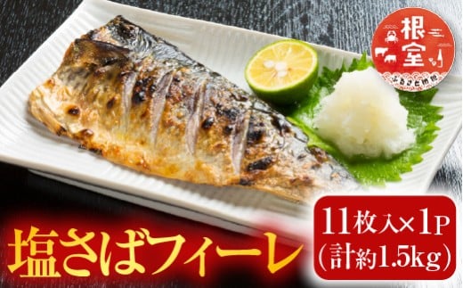 G-14021 塩さばフィーレ11枚入×1P(計約1.5kg)