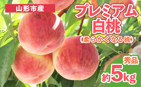 プレミアム白桃 秀品 約5kg (10～18玉) [柔らかくなる桃] 【令和8年産先行予約】 FS25-628 くだもの 果物 フルーツ 山形 山形県 山形市 2026年産
