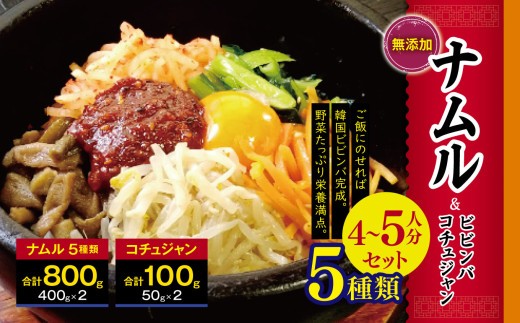 
            韓国 家庭料理 ナムル 5種類(800ｇ)と ビビンバ コチュジャン (100g) 4～5人分セット | ふるさと納税 長野県 松本市 無添加 韓国料理 セット 詰め合わせ 韓国食品 食材 総菜 
          