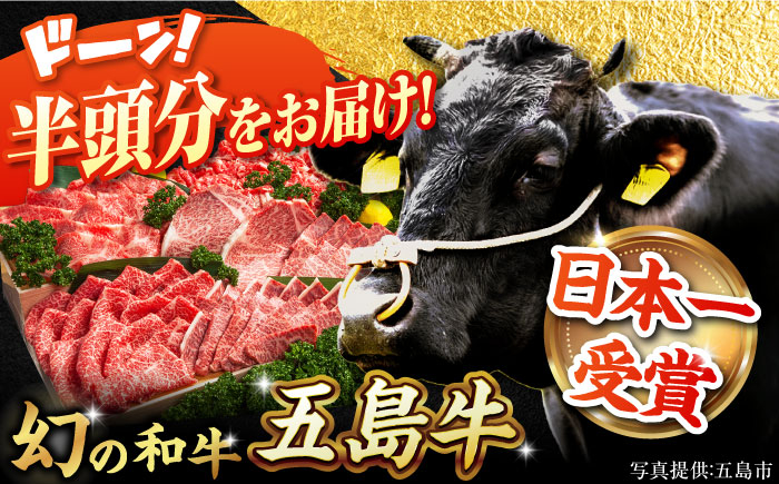 
            五島牛 半頭分 牛肉 国産 和牛 大容量 ブランド牛 冷凍 五島市 / ごとう農業協同組合 [PAF023]
          