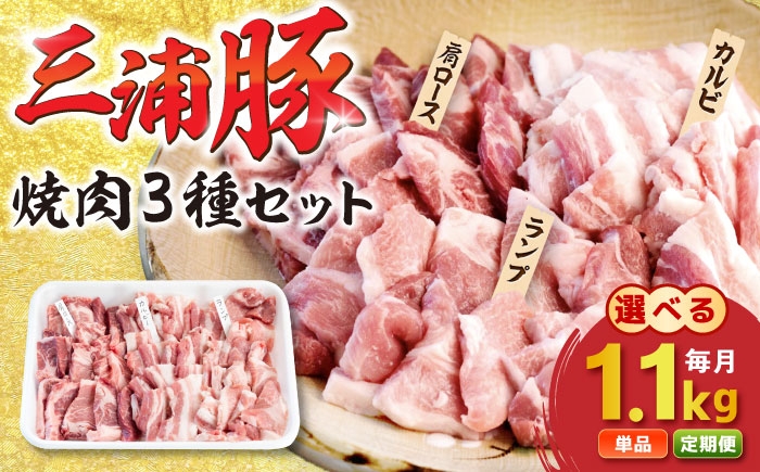 
                  【定期便も選べる！】豪華三浦豚 1.1kg 焼肉セット 肩ロース カルビ ランプ / 三浦豚 焼肉セット 豪華 国産ポーク 肩ロース カルビ ランプ にく 肉 お肉 豚肉 ぶたにく ブランド豚 産地直送 バーベキュー BBQ 焼き肉パーティー 食べ比べ ポーク料理 専門店 高級食材 お取り寄せ 贈答 ギフト 岐阜県 /恵那市 / あづま精肉店 [AUDL005]
                