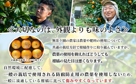 【先行予約】＜無茶々園のジューシーフルーツ（河内晩柑）約7kg＞ フルーツ 果物 かわちばんかん みかん ミカン 蜜柑 柑橘 期間限定 季節限定 食べて応援 特産品 愛媛県 西予市 【常温】『2027