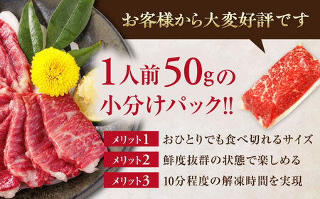 【全6回定期便】国産 サシが決め手馬刺しセット 約500g【株式会社 利他フーズ】[AYBP007]
