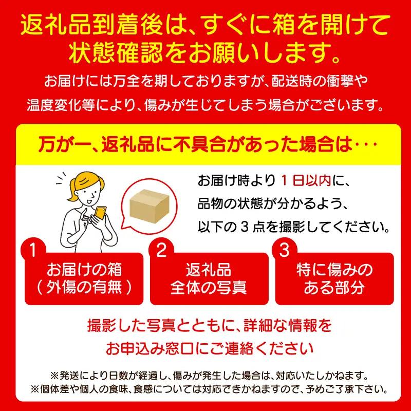 みかん 早生みかん 2.5kg 柑橘 フルーツ 果物