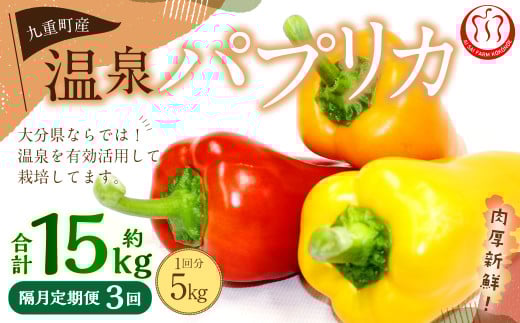 【隔月3回定期便】 大分県 九重町産 温泉パプリカ 計約15kg（約5kg×3回） パプリカ 野菜 やさい