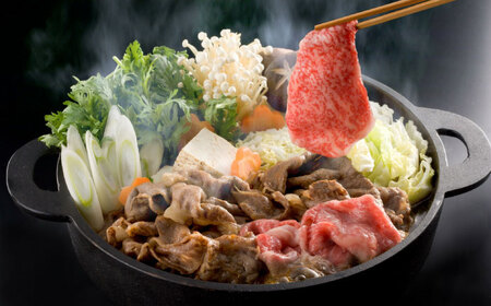 【全3回定期便】 熊本県産 A5等級 黒毛和牛 和王 食べ比べ 牛肉 和牛 国産【帝神志方ミート 株式会社】[AYCH055]