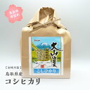 【ふるさと納税】鳥取県産 コシヒカリ 5kg / 10kg / 20kg 新米 令和6年産 5キロ 10キロ 20キロ 米 お米 おこめ こめ コメ 白米 精米 玄米 岩崎米穀