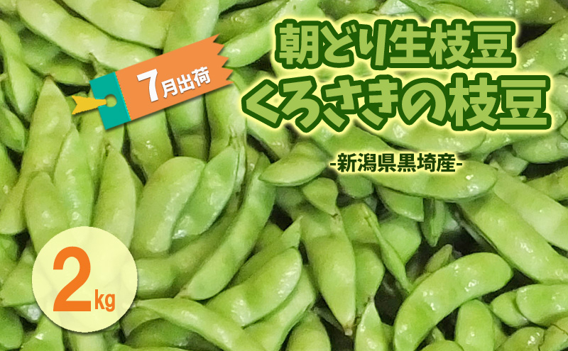 
            7月出荷 朝どり生枝豆 くろさきの枝豆2kg 新潟県黒埼産 新潟市 枝豆 えだまめ えだ豆
          