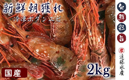 6-055-001　国産ボタンエビ 2kg（500×4）