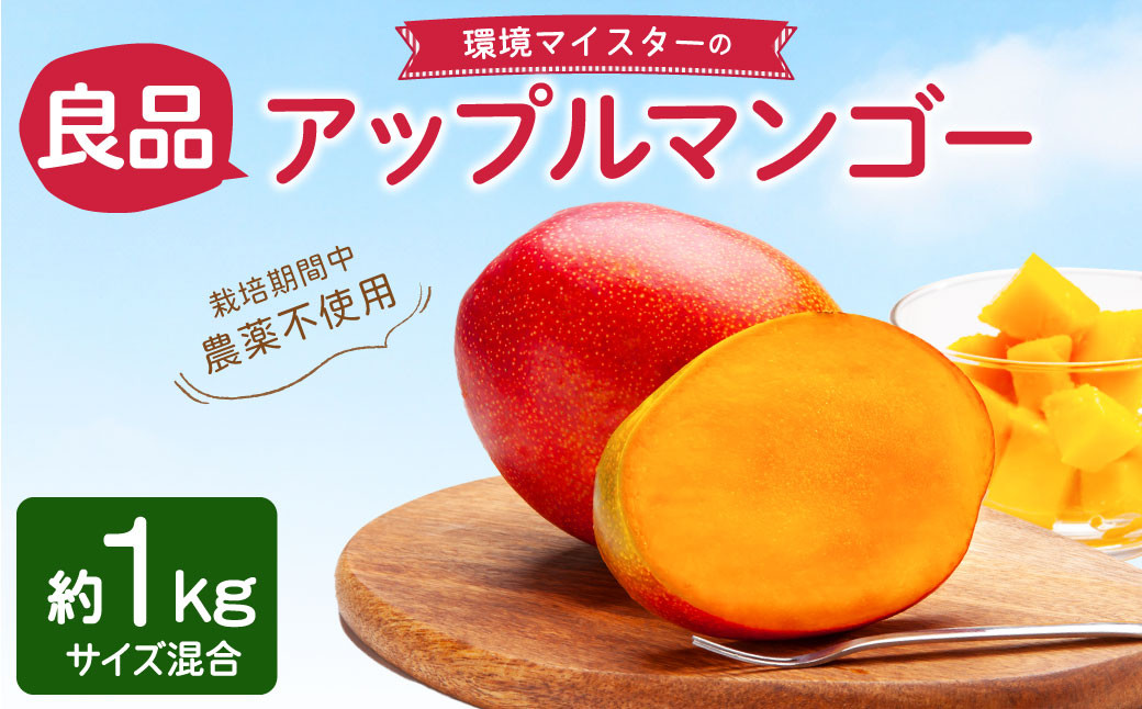 
【2024年6月下旬発送開始】環境マイスターの【良品】アップルマンゴー 1kg
