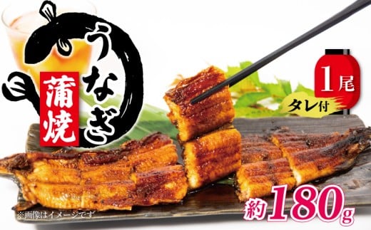 国産 うなぎ 蒲焼 180g タレ付 冷凍  ( グルメ うなぎ 鰻 新鮮 たれ 土曜 丑の日 真空パック おすすめ 滋賀県 竜王 送料無料 )