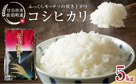 廿日市市佐伯町産 コシヒカリ 5kg