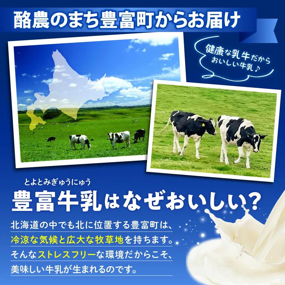 とよとみ牛乳 北海道アイスクリーム バニラ チョコレート 計12個