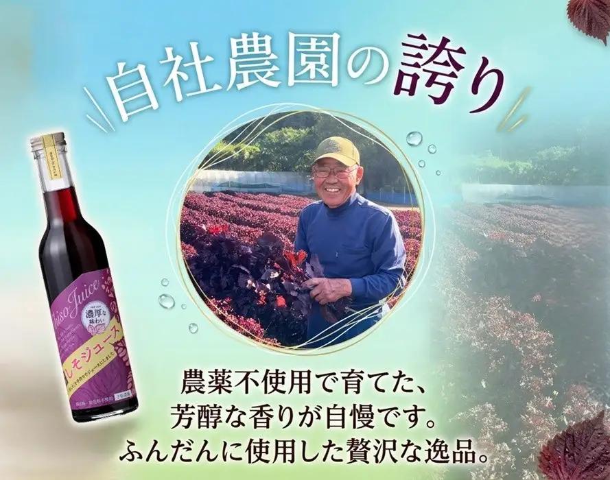 W-0721／【夏季限定】 濃い！ 赤しそジュース （天神赤しそ使用）1本