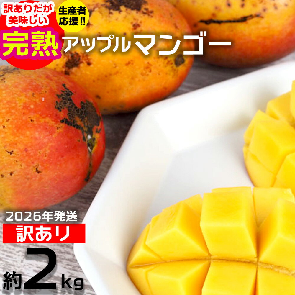 【ふるさと納税】【2026年発送】生産者応援！！訳ありだが美味しい完熟アップルマンゴー約2kg 農園直送！ 訳アリ 先行予約 沖縄 甘味 糖度 濃厚 美味しい 自分用 おいしい ふるさと納税 とろける甘さ 香り アーウィン 果汁 送料無料 箱入り トロピカル フードロス 2キロ