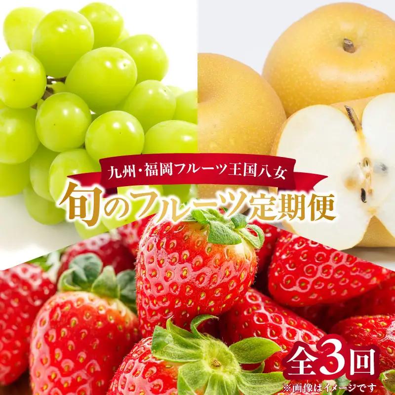 九州・福岡フルーツ王国八女 旬のフルーツ定期便【全3回】＜配送不可：北海道・沖縄・離島＞ フルーツ 定期便 あまおう シャインマスカット 梨 季節のフルーツ 果物 おすすめ セット 産地直送 福岡県 