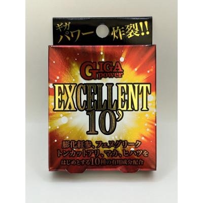 ふるさと納税 藤井寺市 GIGA POWER EXCELLENT 10’