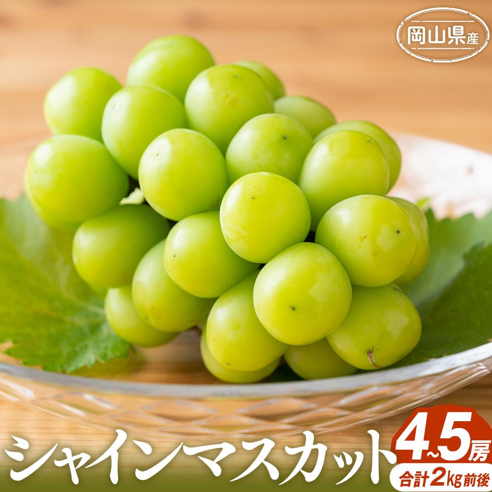 【ふるさと納税】ぶどう 2025年 シャインマスカット 4～5房 合計2.0kg前後 岡山県産 | フルーツ 果物 くだもの 食品 人気 おすすめ 送料無料