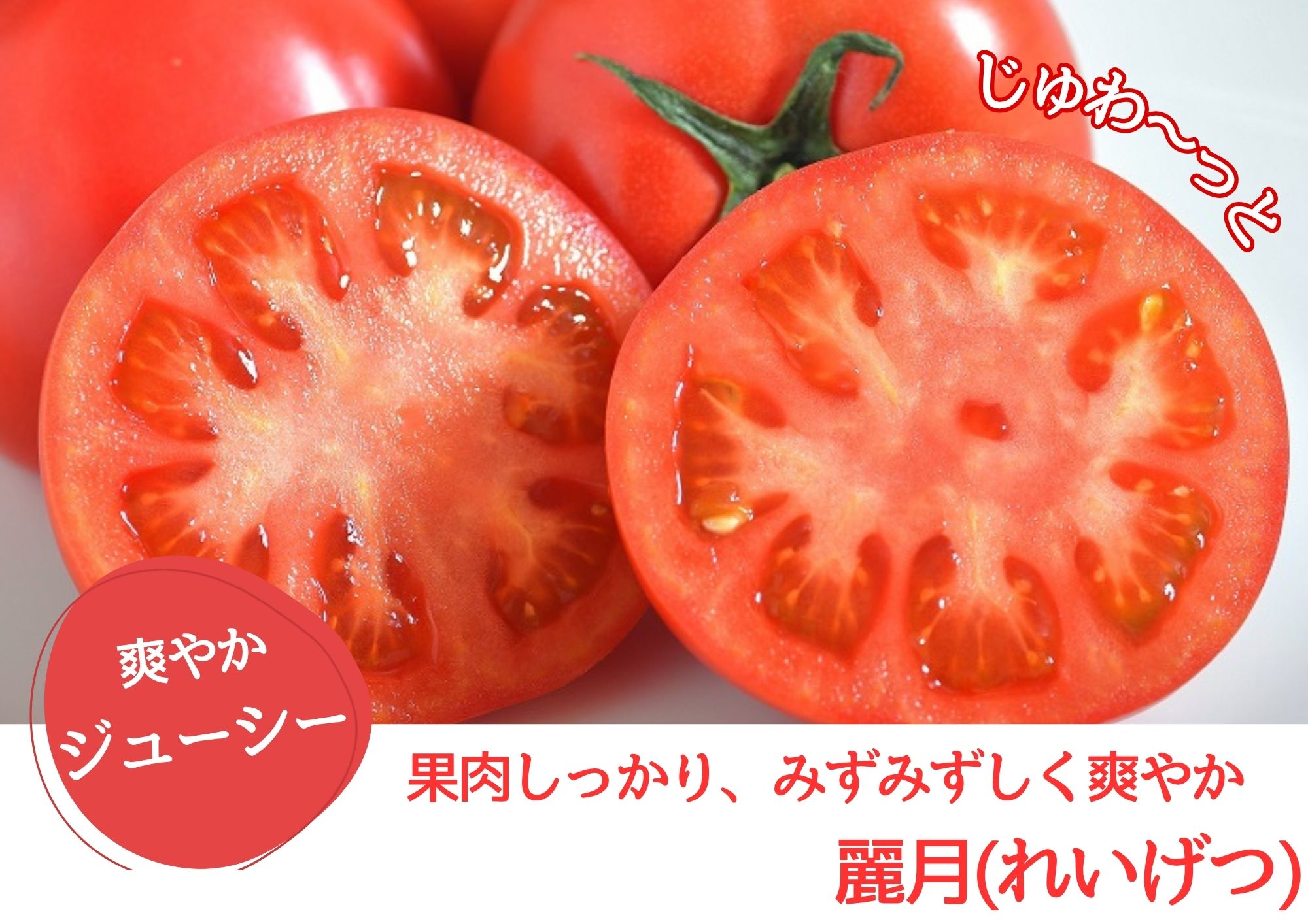 【糖度7度以上】麗月トマト 2kg｜冬期育ちの濃厚な甘み・産地直送の完熟トマト