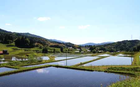 BG無洗米コシヒカリ 5kg ［令和5年産］愛を米 時短 BG 無洗米 こしひかり 島根県産 新生活応援 お試し 節水 アウトドア キャンプ 東洋ライス