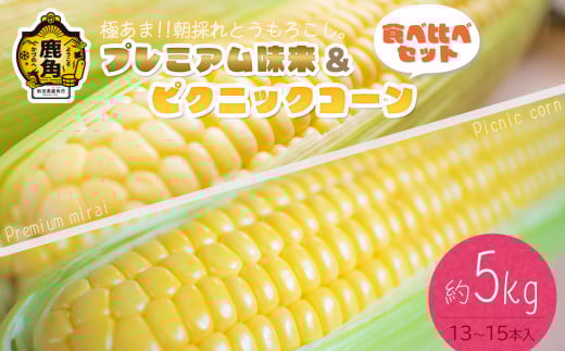 《 先行予約 》秋田県鹿角産 朝採り プレミアム味来＆ピクニックコーン 約5kg（13～15本）食べ比べセット【さとう農園】●2025年7月下旬発送開始 朝採り 甘い 秋田県 鹿角産 新鮮 野菜 安全 トウモロコシ スイートコーン 中元 お歳暮 母の日 父の日 グルメ ギフト 故郷 秋田 あきた 鹿角市 鹿角 送料無料 