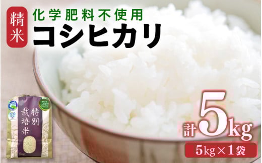 【令和7年産】 化学肥料不使用コシヒカリ  精米5kg（5kg×1袋） / 白米 米 福井県あわら市産 美味しい 特別栽培米 減農薬 安心な米 旨味 甘み もっちり エコファーマー こしひかり 冷蔵保管米 [aw010-a020]