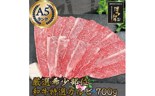 
希少部位厳選！特選カルビ 博多和牛 A5 700g
