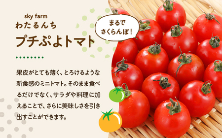 KINGトマト・プチぷよトマトジュース 2本セット 【11218-0892】