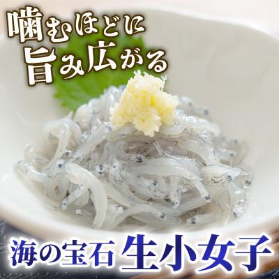 ふるさと納税 大船渡市 生 小女子(こうなご) 三陸産 数量限定 1kg[kouyou015] |  | 01