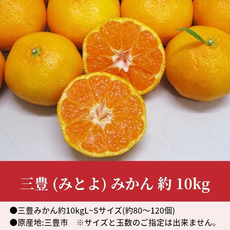 M02-0117_【ふるさと納税】【先行予約】 三豊 (みとよ) みかん 約 10kg  秋 旬