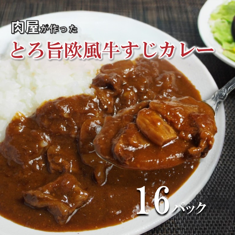 とろ旨欧風牛すじカレー（200g×16パック） ※お届け不可地域あり【069D-014】