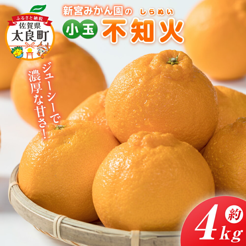 【ふるさと納税】新宮みかん園の不知火（S～M）4kg 【2026年4月上旬～5月上旬まで順次発送予定】 みかん ミカン 蜜柑 たらみかん 太良みかん 不知火みかん しらぬひ デコポン でこぽん 温州みかん 完熟みかん 甘熟 柑橘 国産 こだわり 有機栽培 産地直送 佐賀県 太良町 L59x1