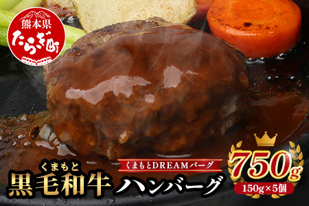 くまもと黒毛和牛 DREAMバーグ 150g×5パック 計750g 牛肉 100％ 国産 生 ハンバーグ 熊本 ブランド牛 黒毛 和牛 上質 はんばーぐ 惣菜 熊本県 113-0508