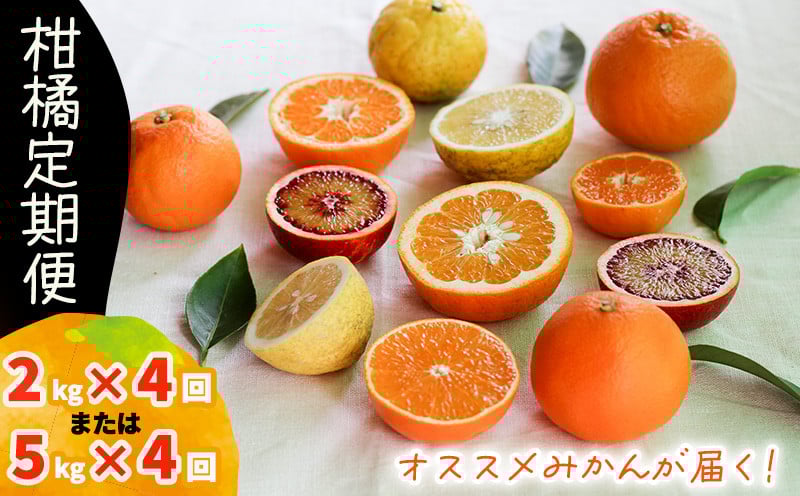 
                  【12月から発送】柑橘定期便 全4回  2kg × 4回 計8kg または 5kg × 4回 計20kg 品種おまかせ（ 家庭用 みかん 温州 蜜柑 ミカン 果物 フルーツ 定期便 旬 季節限定 数量限定 NPO法人農音 愛媛県 松山市 中島 農音 ）
                