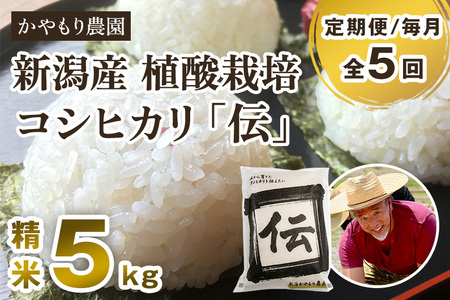 【令和7年産】【定期便5ヶ月毎月お届け】新潟産コシヒカリ「伝」白米真空パック 精米5kg 《順次出荷》