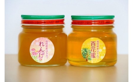 福岡県産はちみつ【れんげ・百花蜜セット】300ｇ×2 [F2069]