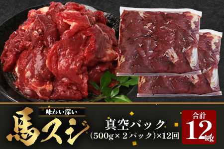 【 定期便 12回 】 熊本県 馬スジ 1㎏（ 500g×2 ） × 12回 【 合計 12kg 】 馬肉 すじ肉 大容量 本場 熊本県 馬 赤身 煮込み カレー シチュー 冷凍 真空 熊本 肥育 ヘ